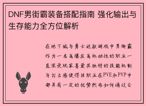 DNF男街霸装备搭配指南 强化输出与生存能力全方位解析